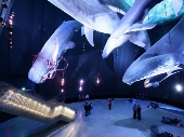 OZEANEUM Stralsund_riesen_der_meere_schlorke