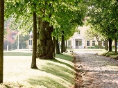Gutshaus Stolpe 00 Auffahrt und Allee