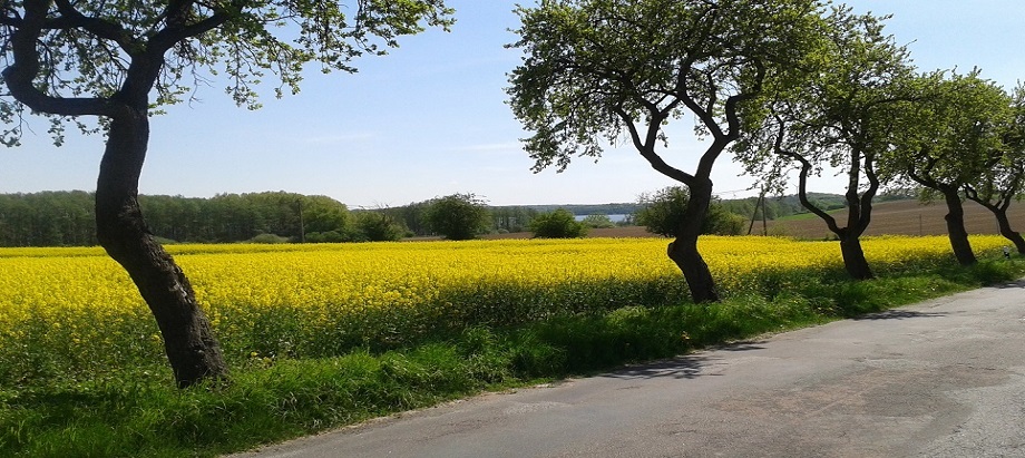 Herrenhaus Friedrichshof Umgebung header