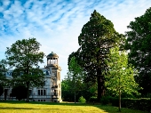 Schloss Kaarz_Mammutbaum_Stefan von Stengel