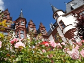 9.8. Seehotel Schloss Klink mit Rosenrabatte
